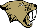 Franklin Youth Girls Basketball Association