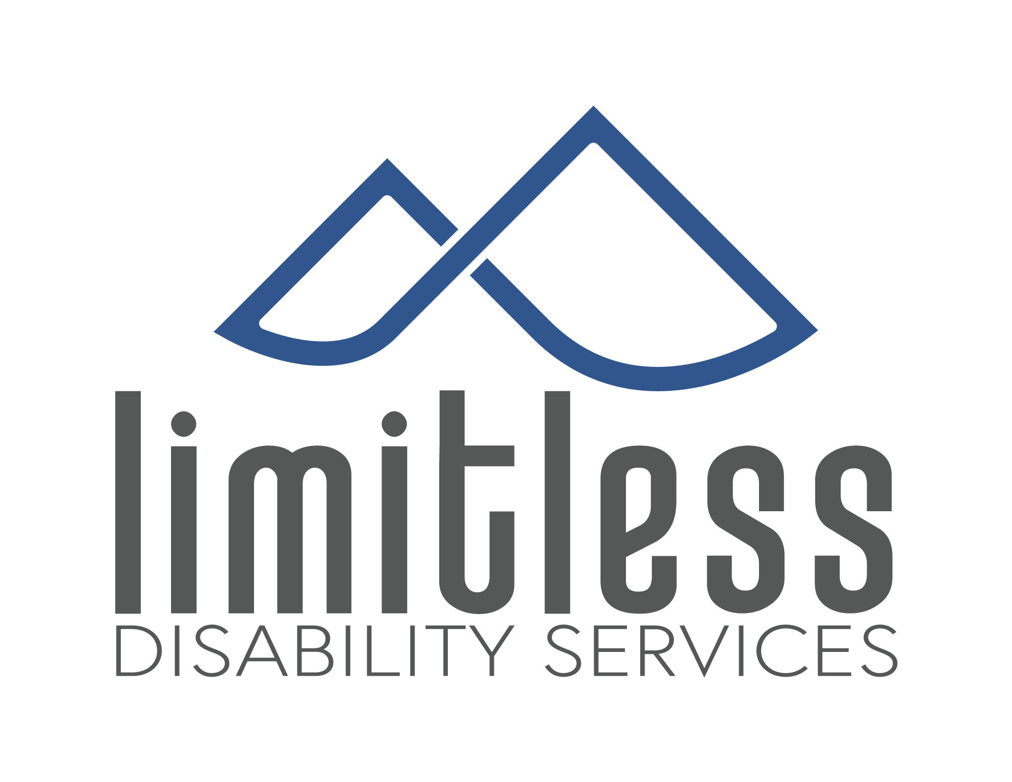 Limitless Disability Services